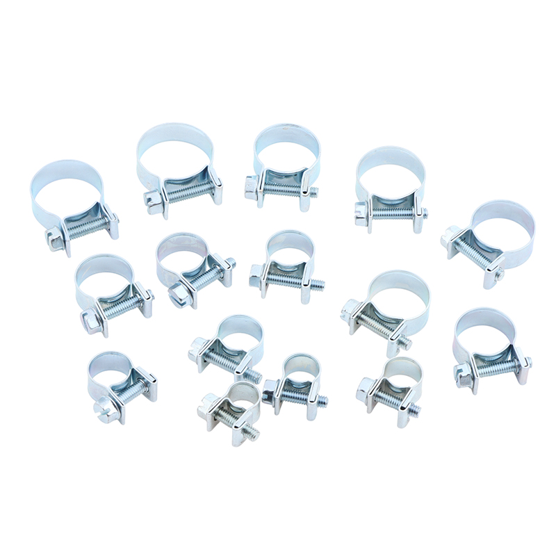 Pipe Clamp Bar - Jubileumslangklemmen 10-delige set voor brandstofleiding Roestvrijstalen