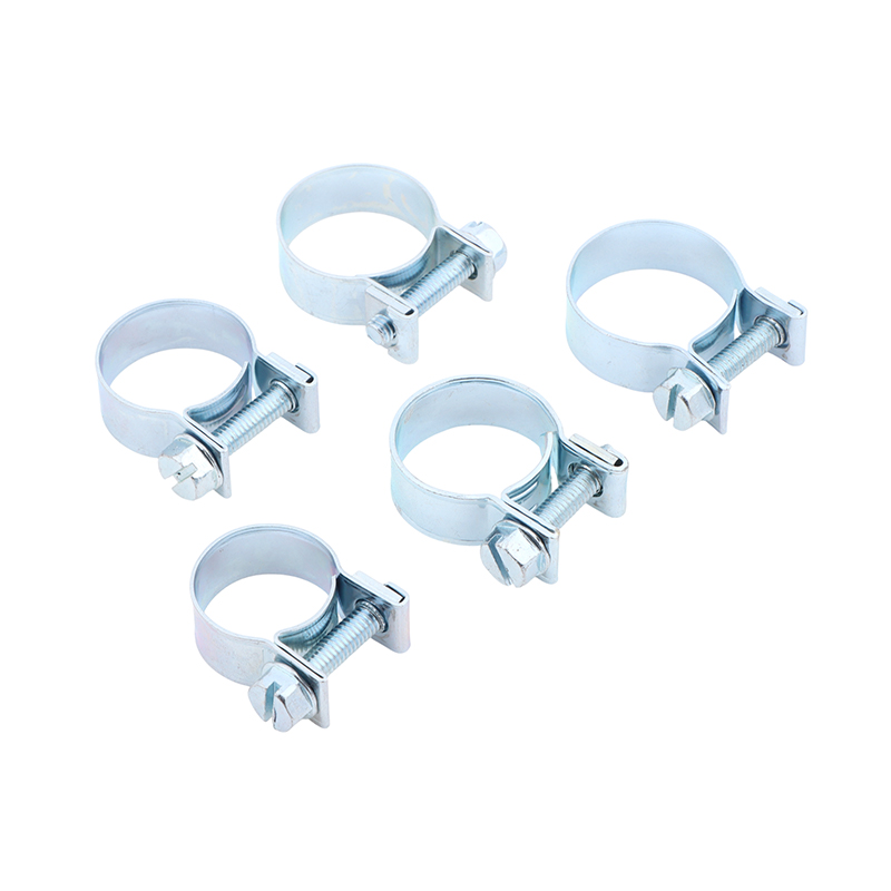 Jubileumslangklemmen 10-delige - Pipe Clamp Bar recensie en prijs